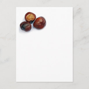 Rosskastanien Postkarte