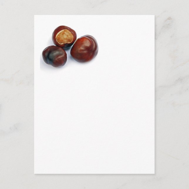 Rosskastanien Postkarte (Vorderseite)