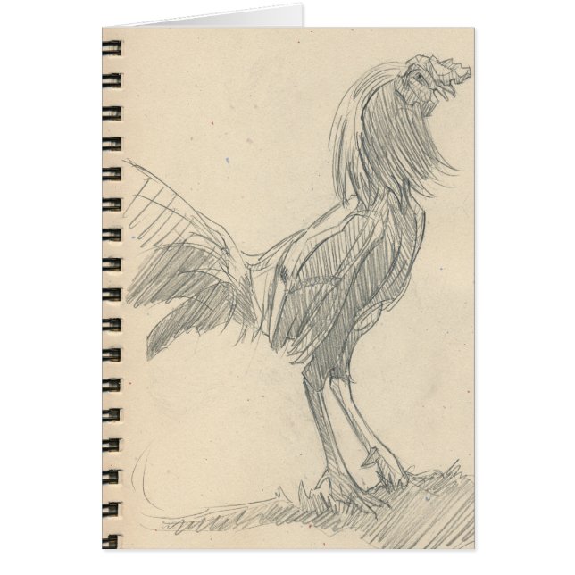 Rostige Einfassung weg (Vorne)