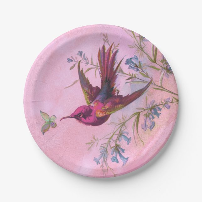 Rosy Red Hummingbird Pappteller (Vorderseite)