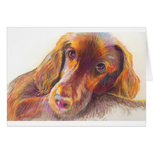 Rot (Vorderseite (Horizontal))