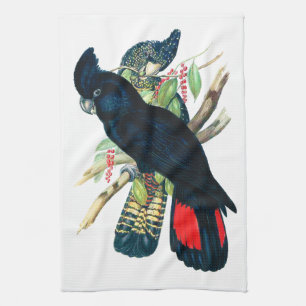 Rot angebunden, schwarze (Banksian) Cockatoos. Küchentuch