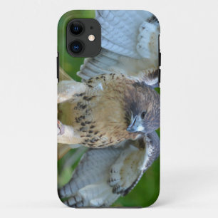 Rot-angebundene Falke-Verbreitungs-Flügel iPhone 11 Hülle