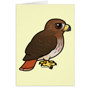 Rot-angebundener Falke