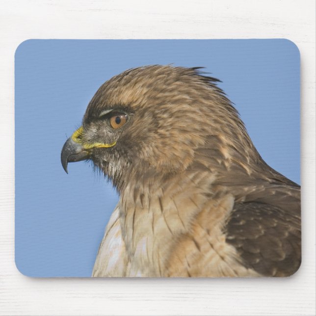 Rot-angebundener Falke Mousepad (Vorne)