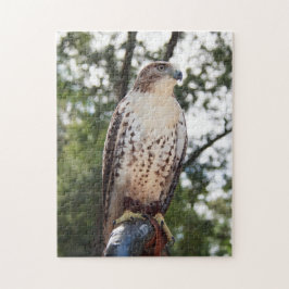 Rot-Angebundener Falke Puzzle
