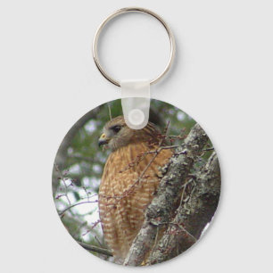 Rot angebundener Falke-Schlüsselanhänger Schlüsselanhänger