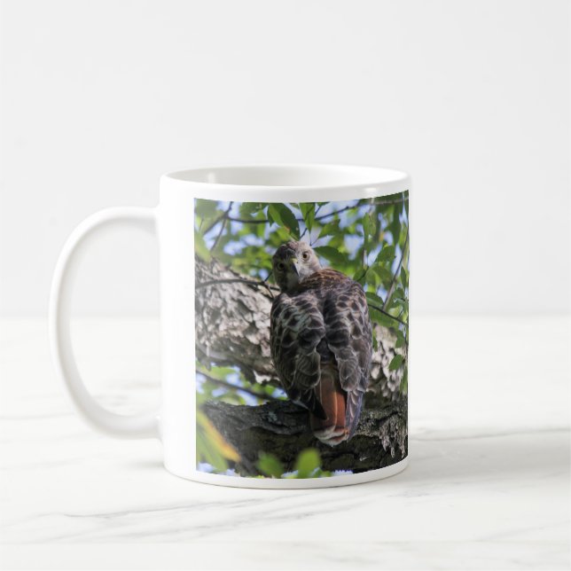 Rot-angebundener Falke Tasse (Links)
