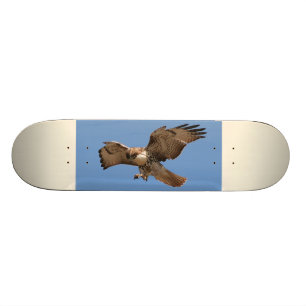 Rot-Angebundenes Falke-Skateboard Skateboard