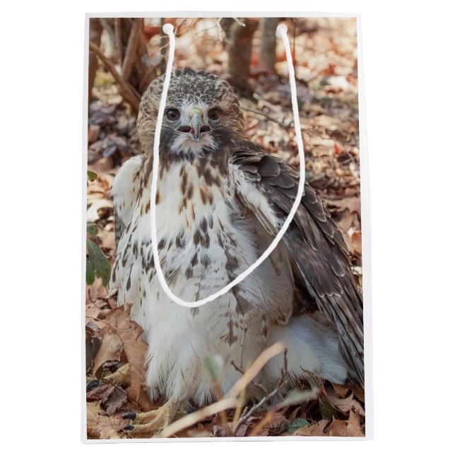 Rot band den verdoppelten Falken an Mittlere Geschenktüte (Vorderseite)