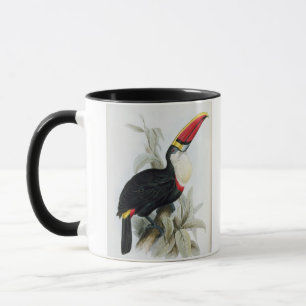 Rot-Berechnetes Toucan, von 'einer Monographie des Tasse