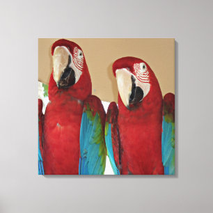 Rot, Blau, Grüne Macaws (Papageien) Leinwanddruck