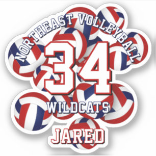 Rot-Blau-Sport-Team Farben Volleballs Kinder Aufkleber