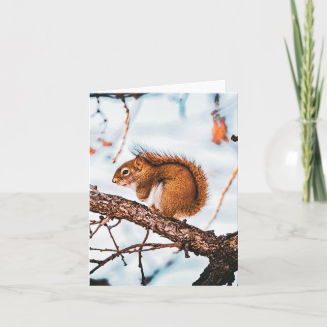 Rot Eichhörnchen Karte (Vorderseite)