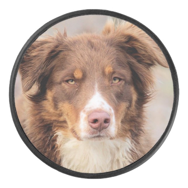 Rot Eishockey Puck (Vorderseite)
