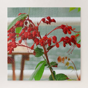 rot, exotisch, blumig, blühen, Natur, Hintergrund, Puzzle