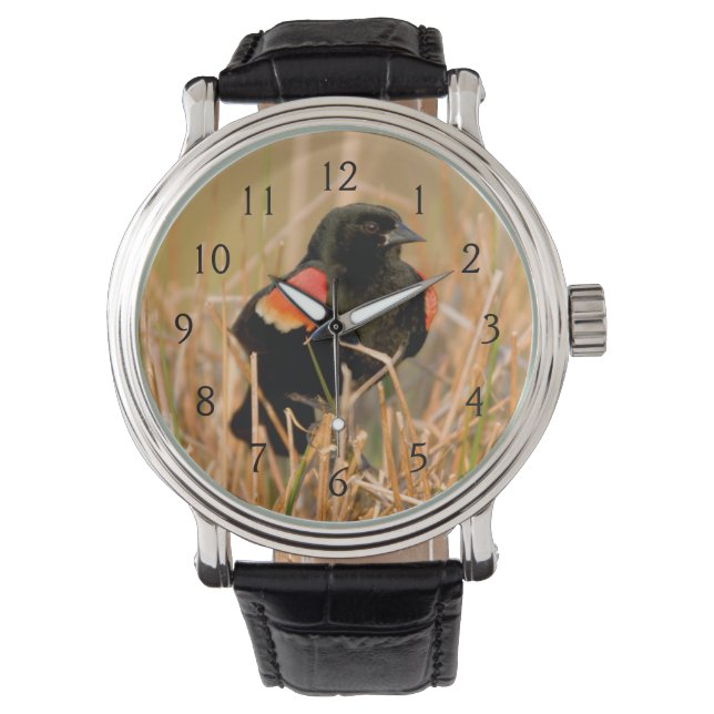 Rot-Flügel-Schwarzvogel-Männchen singen Armbanduhr (Vorderseite)