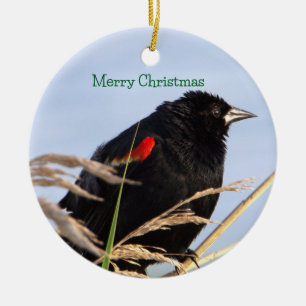 Rot-Flügel-Schwarzvogel-Ornament Keramik Ornament