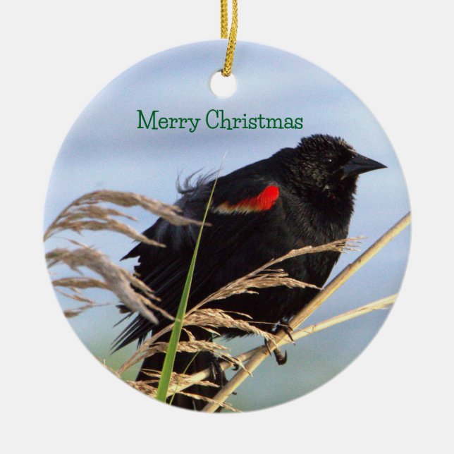 Rot-Flügel-Schwarzvogel-Ornament Keramik Ornament (Vorne)