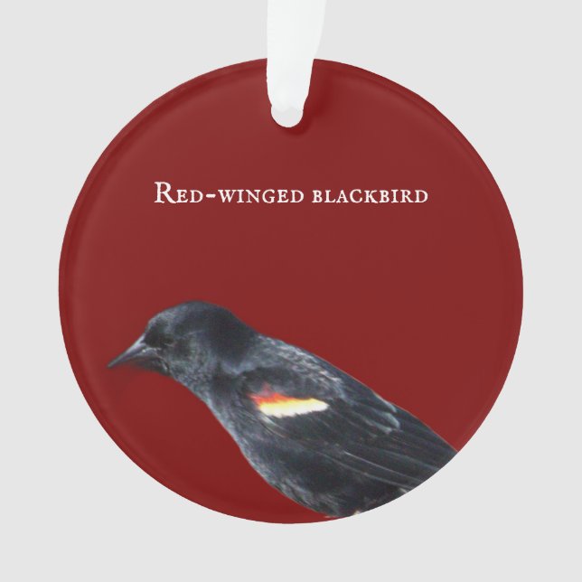 Rot-Flügel-Schwarzvogel-Ornament Ornament (Vorderseite)