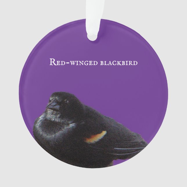Rot-Flügel-Schwarzvogel-Ornament Ornament (Vorderseite)