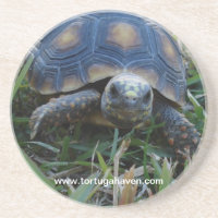 Rot-Fuß Schildkröten-Untersetzer