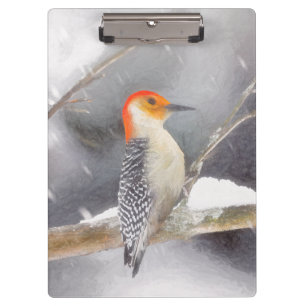 Rot-Gelb Woodpecker Malerei Original Vogelkunst Klemmbrett