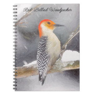 Rot-Gelb Woodpecker Malerei Original Vogelkunst Notizblock