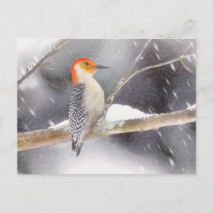 Rot-Gelb Woodpecker Malerei Original Vogelkunst Postkarte