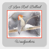 Rot-Gelb Woodpecker Malerei Original Vogelkunst