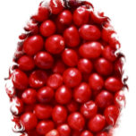 Rot Geschirrtuch<br><div class="desc">Farbfoto von roten Cranberries.</div>