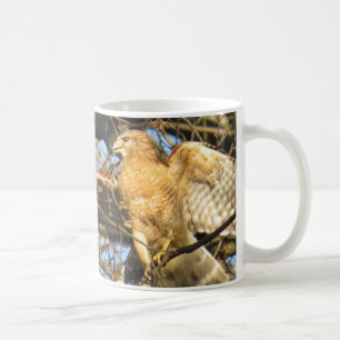 Rot-geschulterte Falke-Kaffee-Tasse Tasse