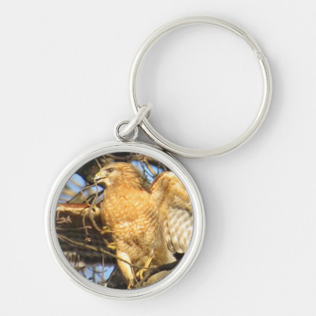 Rot-geschulterte Falke-Schlüsselkette Schlüsselanhänger (Vorne)