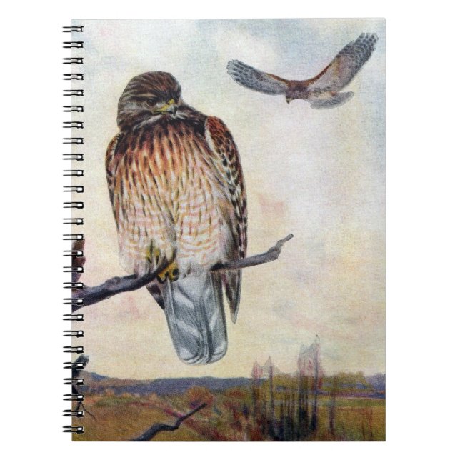 Rot-geschulterte Falke-Vintage Illustration Notizblock (Vorderseite)