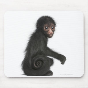 Rot-gesichtiger Spinnen-Affe - Ateles paniscus (3 Mousepad