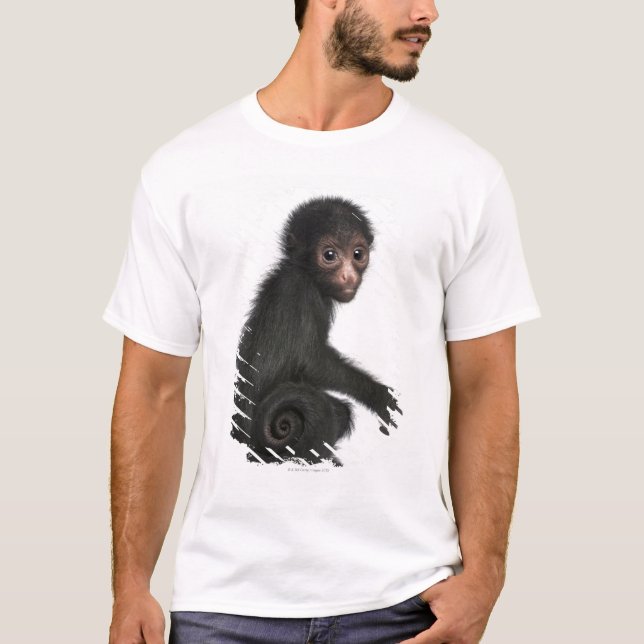 Rot-gesichtiger Spinnen-Affe - Ateles paniscus (3 T-Shirt (Vorderseite)