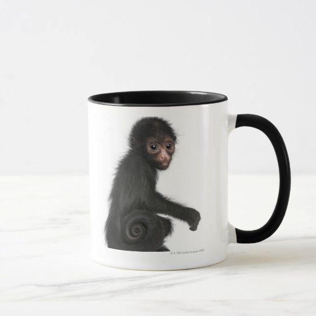 Rot-gesichtiger Spinnen-Affe - Ateles paniscus (3 Tasse (Rechts)