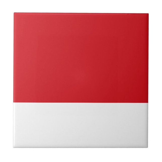 Rot gestreift fliese (Vorderseite)