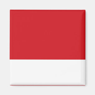 Rot gestreift magnet