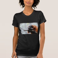 Rot getrumpfter Lemur