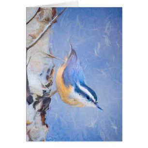 Rot gezapfte Nuthatch Malerei Original Vogelkunst