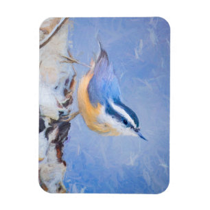 Rot gezapfte Nuthatch Malerei Original Vogelkunst Magnet