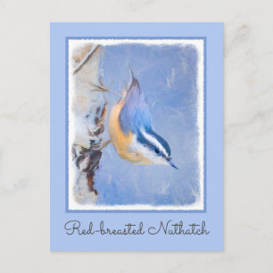 Rot gezapfte Nuthatch Malerei Original Vogelkunst Postkarte