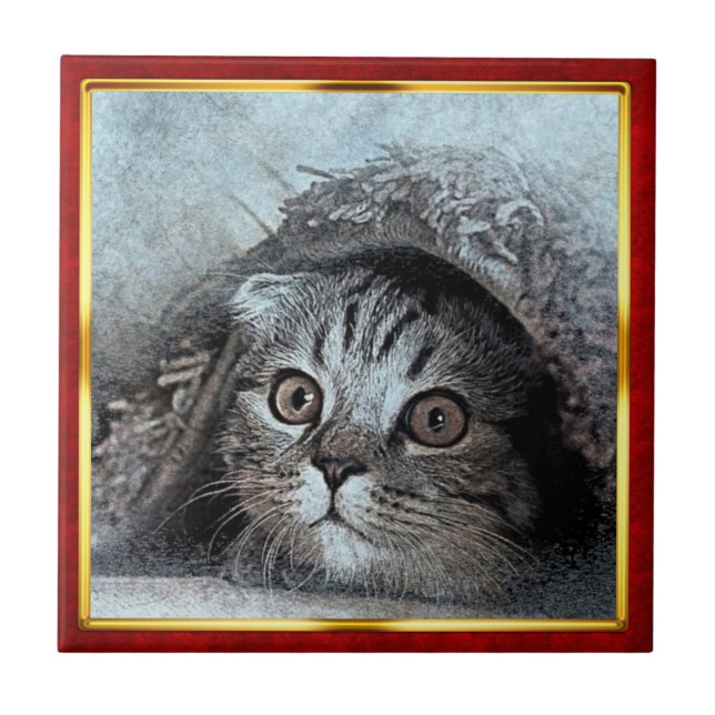 Rot & Gold gerahmter abstrakter Katzenprint Fliese (Vorderseite)