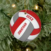 Rot-Grau-Sportteam färbt Jungen Volleyball