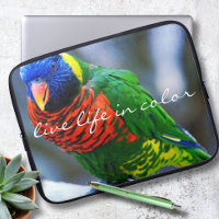 Rot grünes Lorikeet Bird Foto Live Life