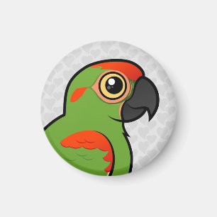 Rot-konfrontierter Macaw Magnet