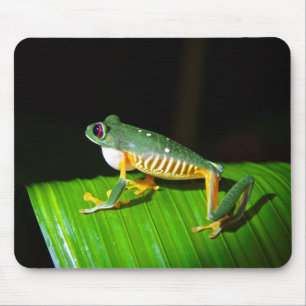 Rot-Mit Augen Baum-Frosch-Fotografie-Mausunterlage Mousepad
