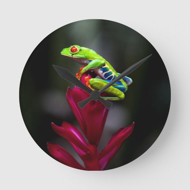 Rot-mit Augen Baum-Frosch Runde Wanduhr (Vorderseite)