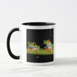Rot-mit Augen Baum-Frösche (Agalychnis callidryas Tasse